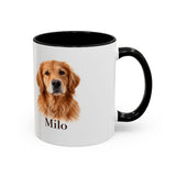 Official alternate product view