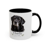 Official alternate product view