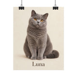Official alternate product view
