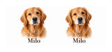 Flat print artwork example — your own pet photo and name will replace the example after proof approval