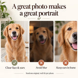 Photo guide: clear original photo, complete face and ears, no motion blur