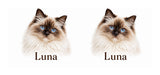 Flat print artwork example — your own pet photo and name will replace the example after proof approval