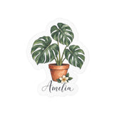 Personalized Monstera Plant Name Vinyl Decal — Satin 3 × 4 — 3" x 4" / Kiss-Cut / Satin — personalized example, official product view 1