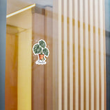 Personalized Monstera Plant Name Vinyl Decal — Satin 3 × 4 — 3" x 4" / Kiss-Cut / Satin — personalized example, official product view 2